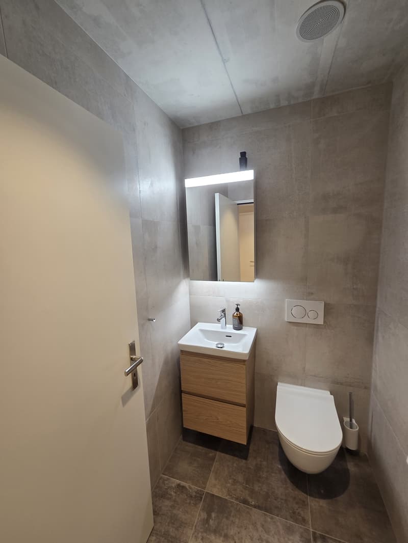 Spacious 3.5-room apartment (103 m²) in Wohlen AG - Subtenant wanted (7)
