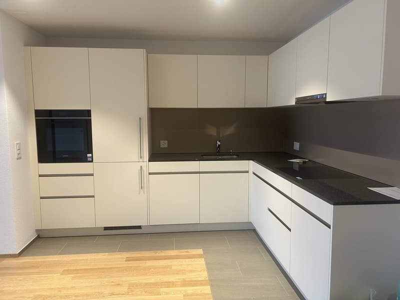 Beautiful 3.5 room apartment for rent (1)