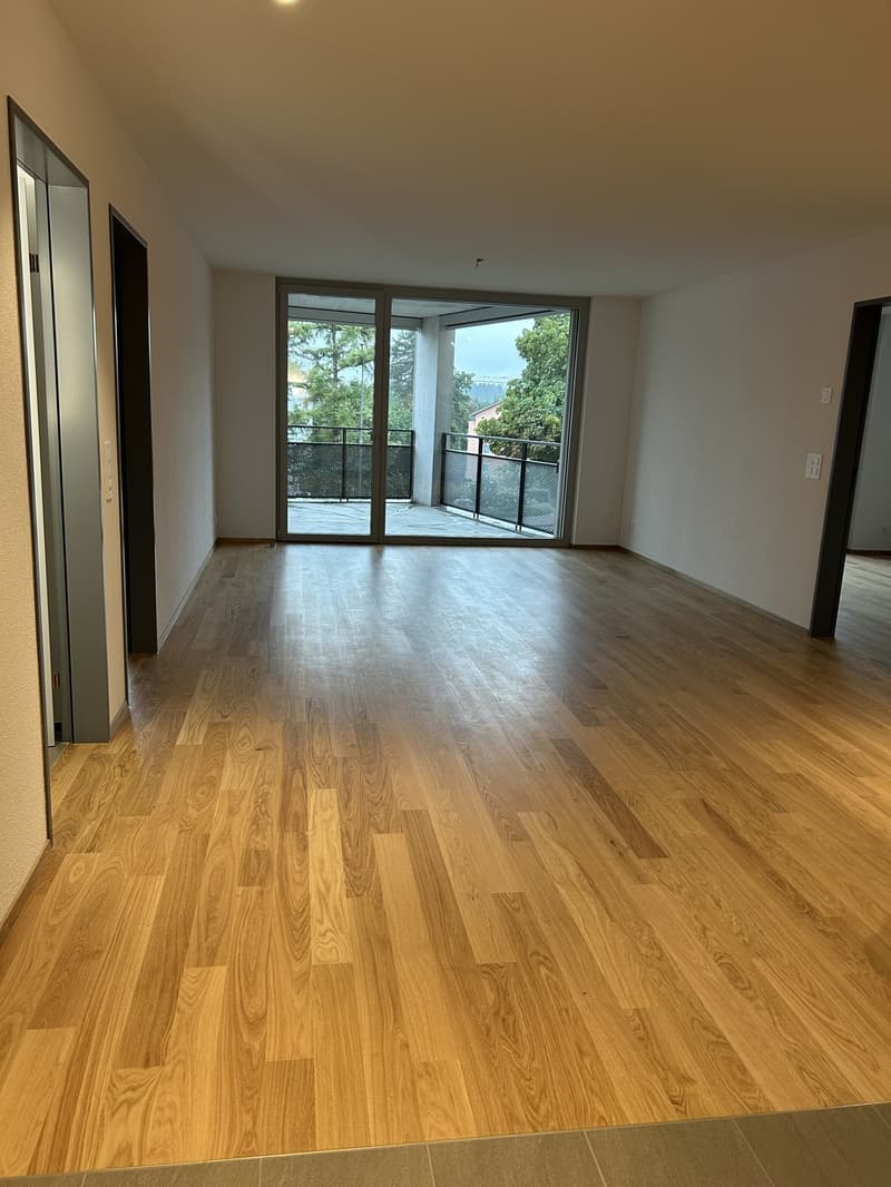 Beautiful 3.5 room apartment for rent (3)