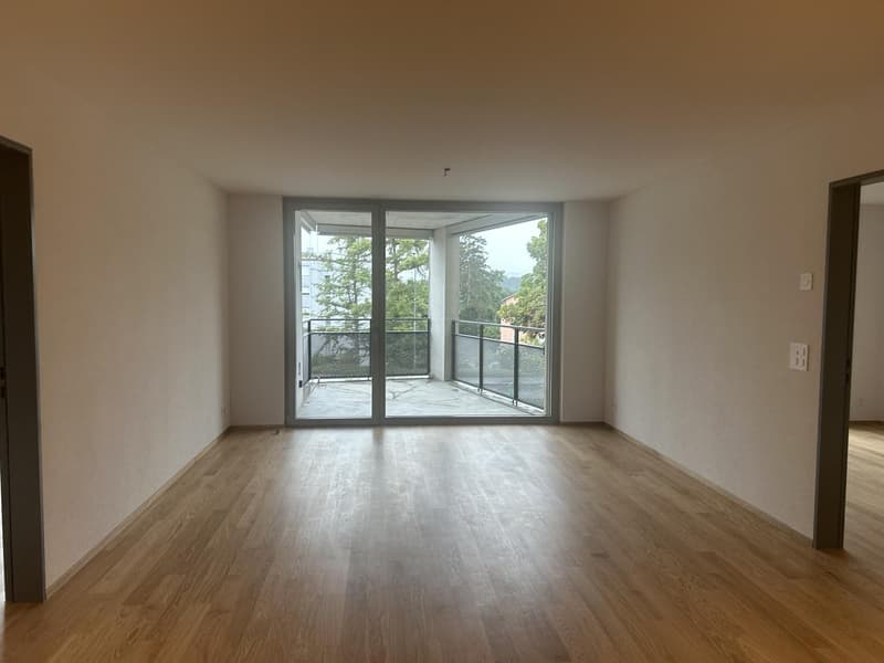 Beautiful 3.5 room apartment for rent (2)