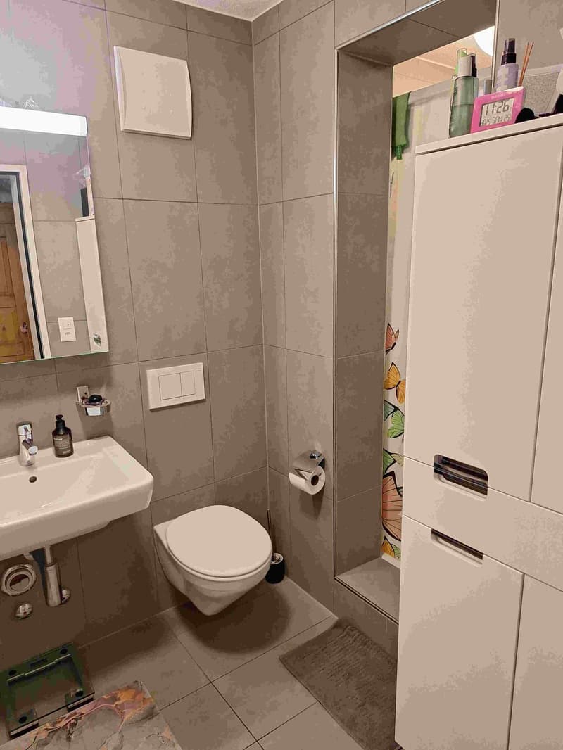 3 ½ rooms apartment, 8180 Bülach (3)