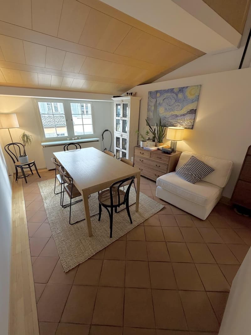 Chambre entièrement meublée dans le centre-ville de Zurich (7)