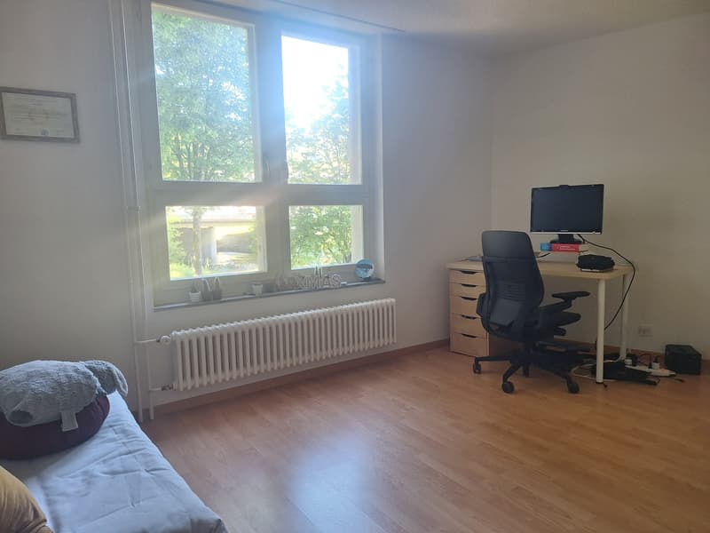 Appartamento 4 locali con terrazza e vista panoramica ad Adliswil (9)