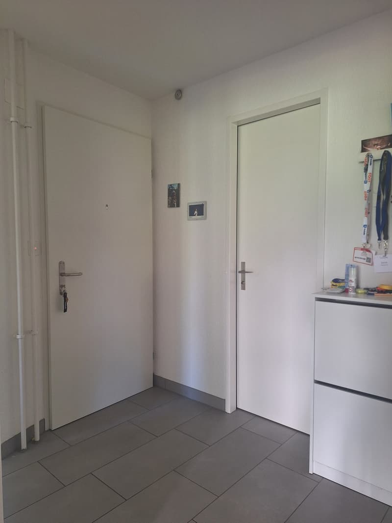 Appartamento 4 locali con terrazza e vista panoramica ad Adliswil (8)