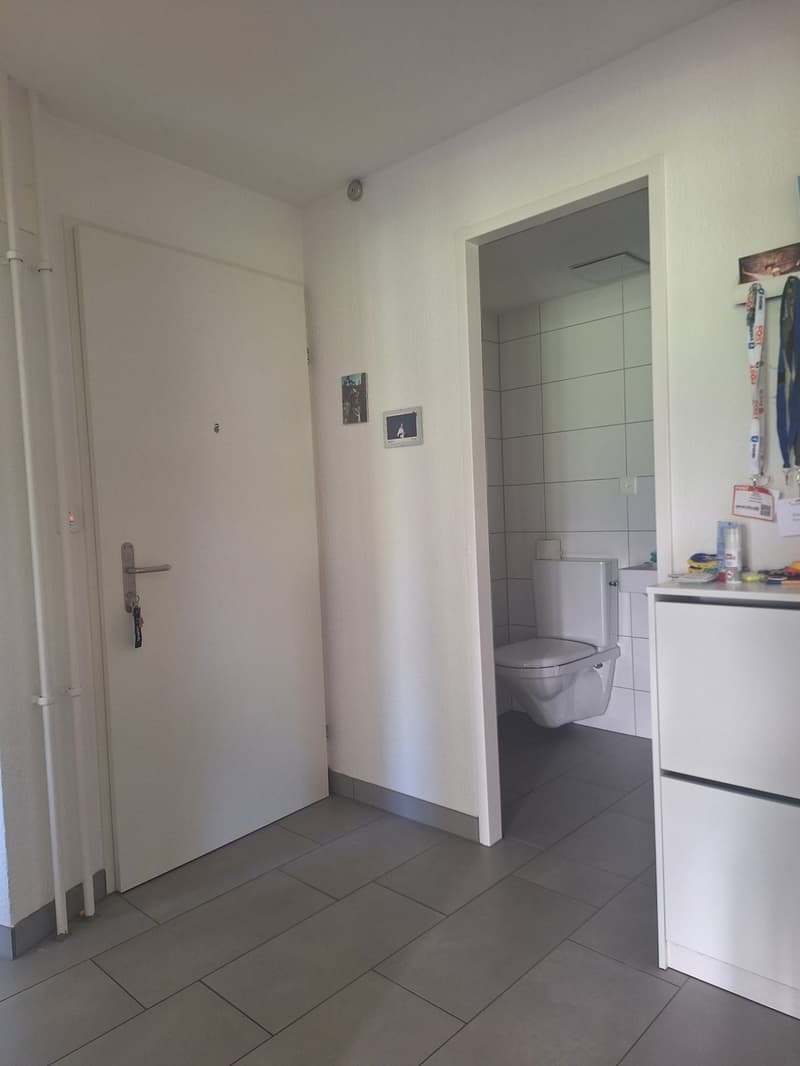 Appartamento 4 locali con terrazza e vista panoramica ad Adliswil (7)