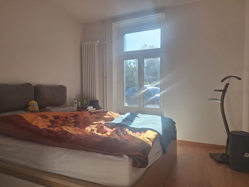 Appartamento 4 locali con terrazza e vista panoramica ad Adliswil (10)