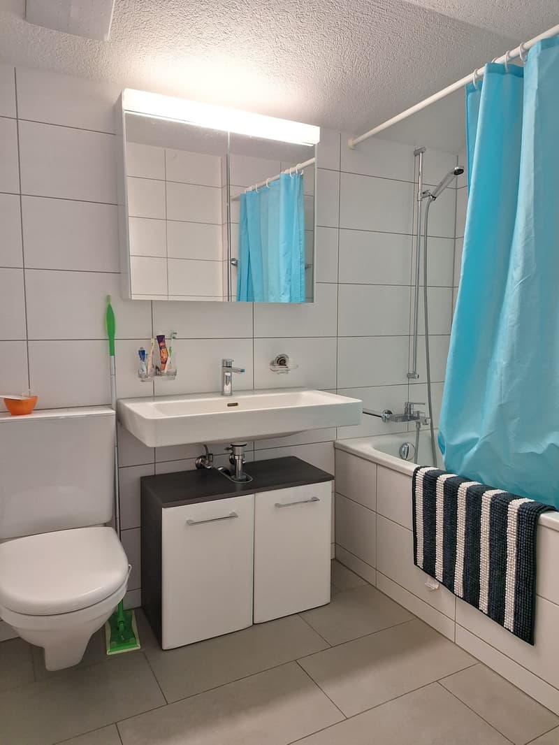 Appartamento 4 locali con terrazza e vista panoramica ad Adliswil (5)