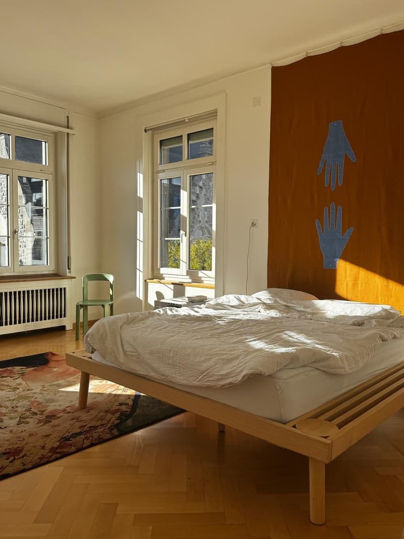 Altbau am Stauffacher (2-4 months) (3)
