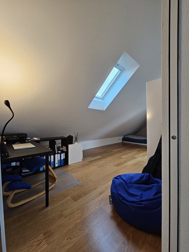 2.5-Room Attic Apartment (5)