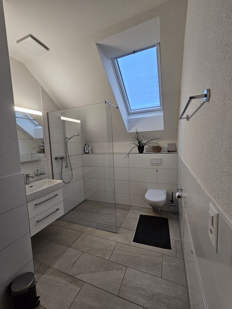 2.5-Room Attic Apartment (6)