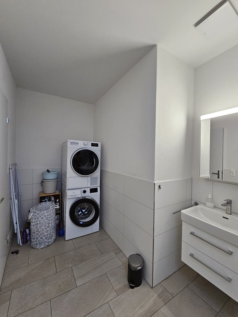 2.5-Room Attic Apartment (7)