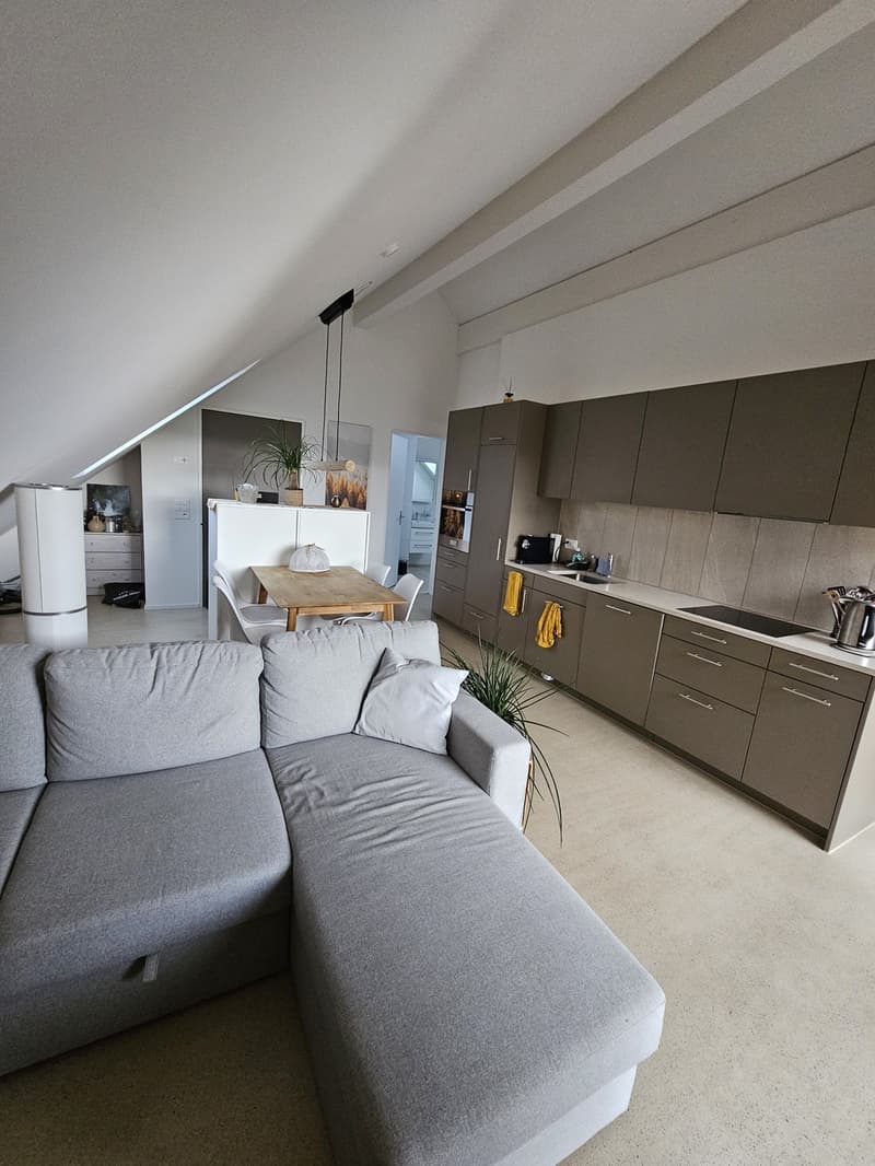 2.5-Room Attic Apartment (3)