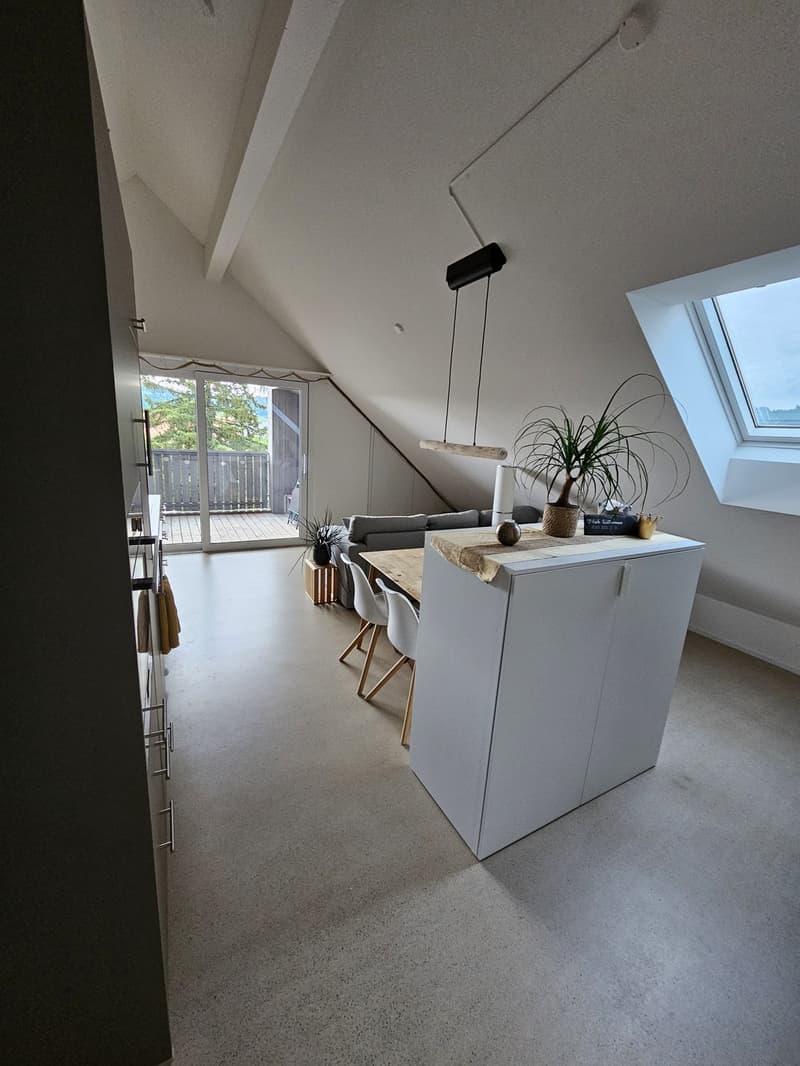 2.5-Room Attic Apartment (1)