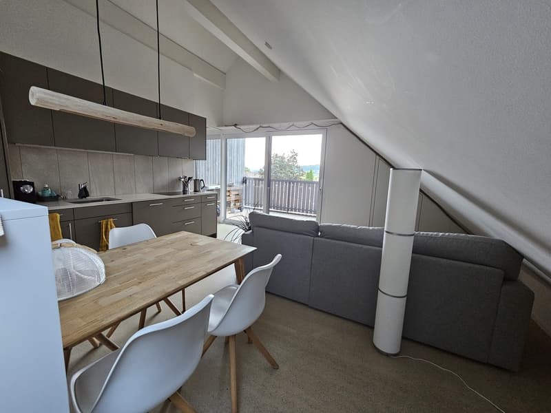 2.5-Room Attic Apartment (2)