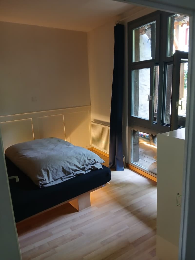 Appartamento 1-2 persone direttamente sul Reno nel quartiere del centro storico in subaffitto per 6 a 12 mesi da settembre o su accordo (4)