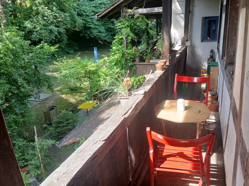 Appartamento 1-2 persone direttamente sul Reno nel quartiere del centro storico in subaffitto per 6 a 12 mesi da settembre o su accordo (12)