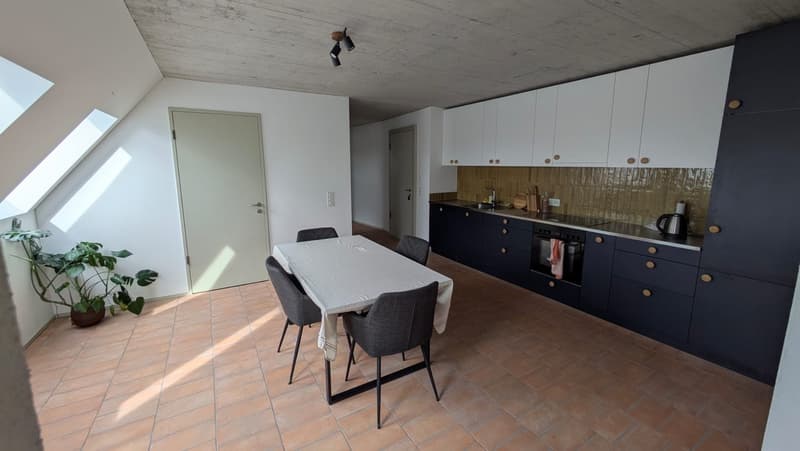 Modern 3 ½ apartment in Oberhasli (3)