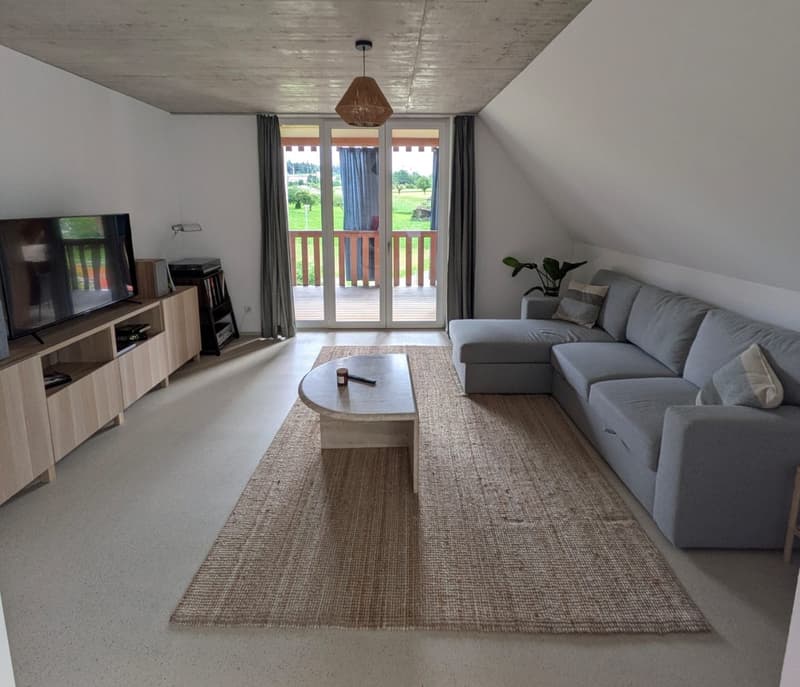 Modern 3 ½ apartment in Oberhasli (2)