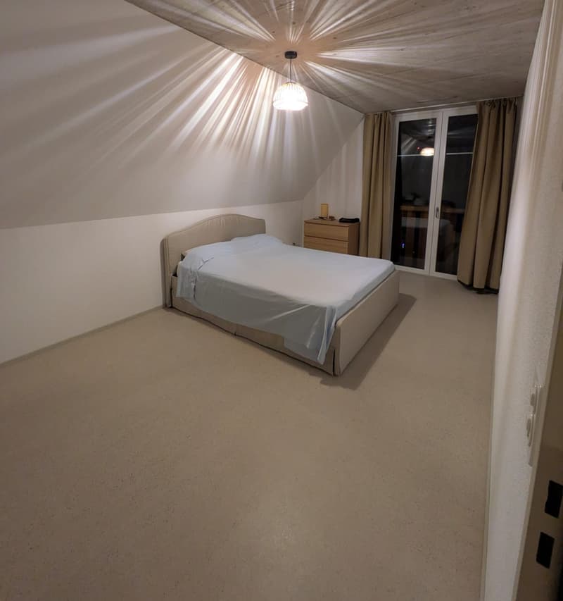 Modern 3 ½ apartment in Oberhasli (8)