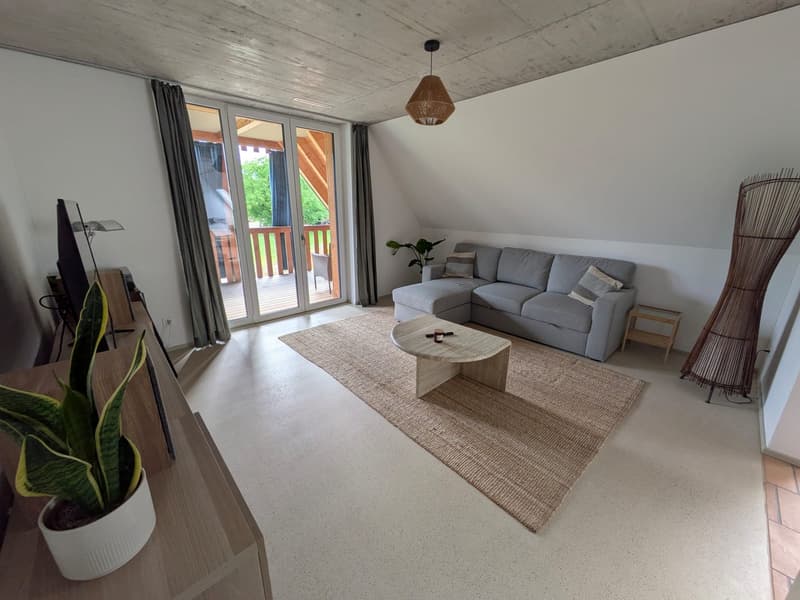 Modern 3 ½ apartment in Oberhasli (1)