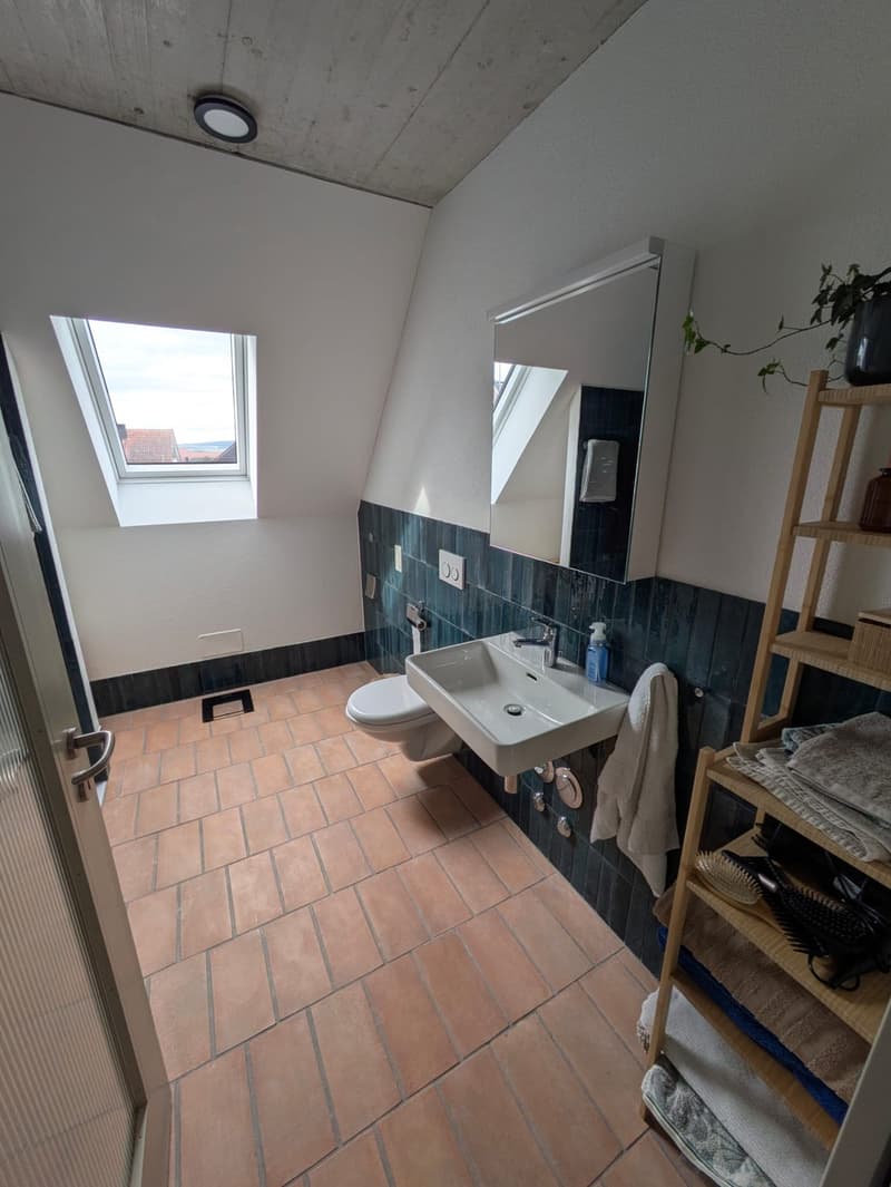 Modern 3 ½ apartment in Oberhasli (5)