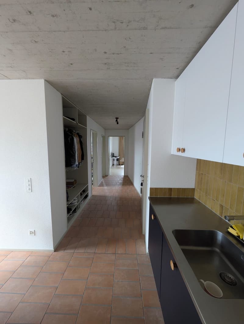 Modern 3 ½ apartment in Oberhasli (4)
