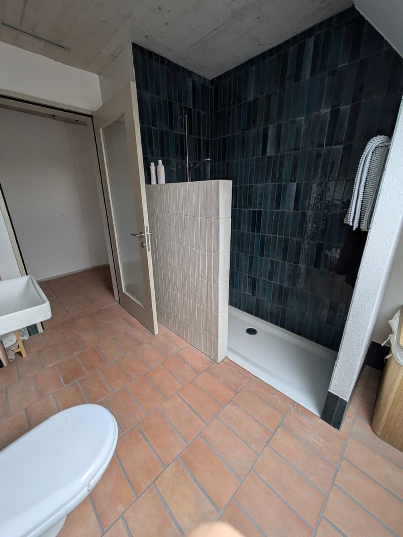Modern 3 ½ apartment in Oberhasli (6)