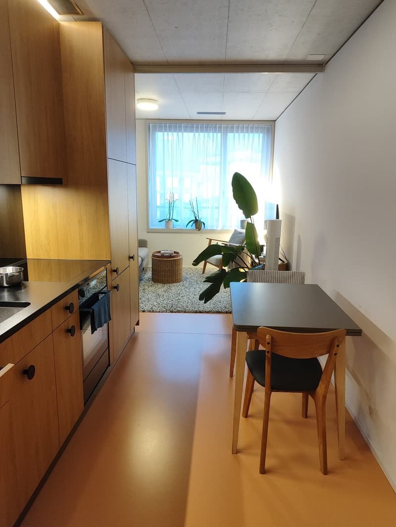 Modernes 1.5-Zimmer-Studio im 5. OG Neubau mit Balkon in Zürich-Albisrieden (3)