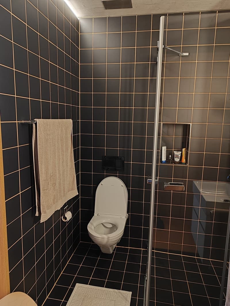 Modernes 1.5-Zimmer-Studio im 5. OG Neubau mit Balkon in Zürich-Albisrieden (9)