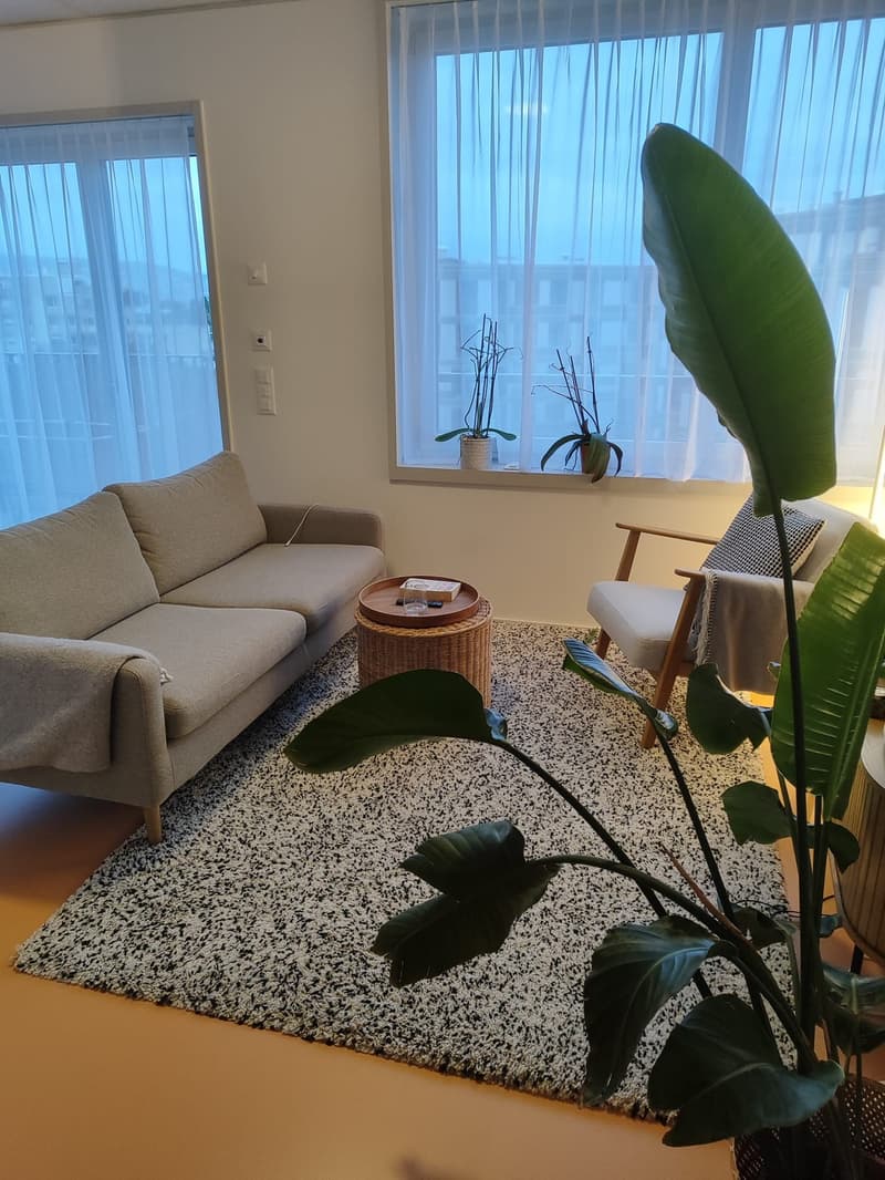 Modernes 1.5-Zimmer-Studio im 5. OG Neubau mit Balkon in Zürich-Albisrieden (2)