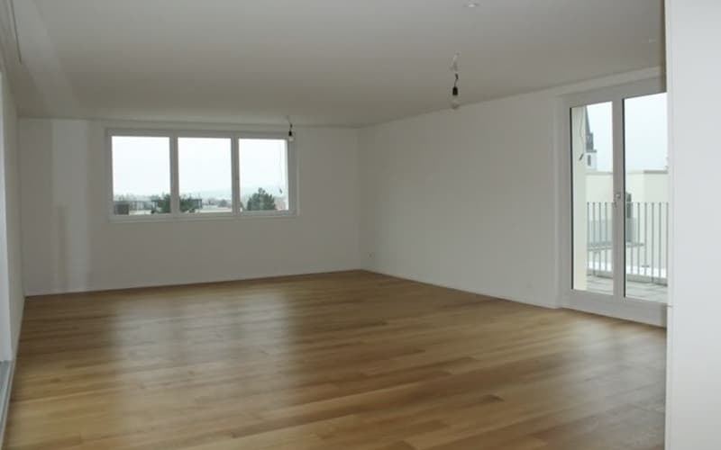 Appartement 3.5 pièces avec terrasse de rêve (1)