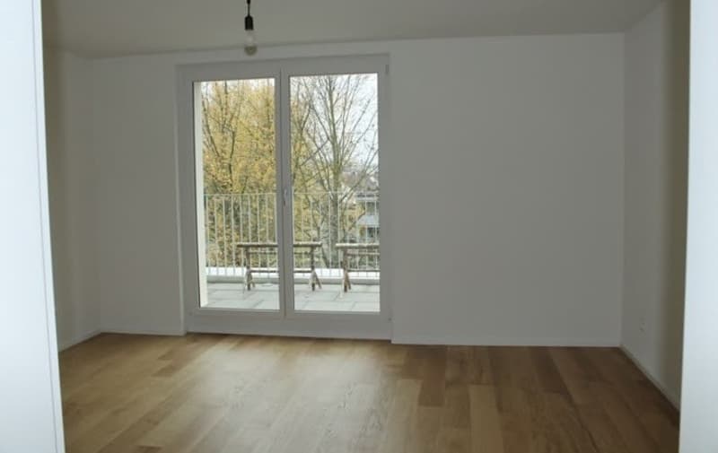 Appartement 3.5 pièces avec terrasse de rêve (4)