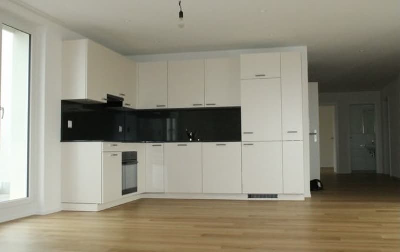 Appartement 3.5 pièces avec terrasse de rêve (3)