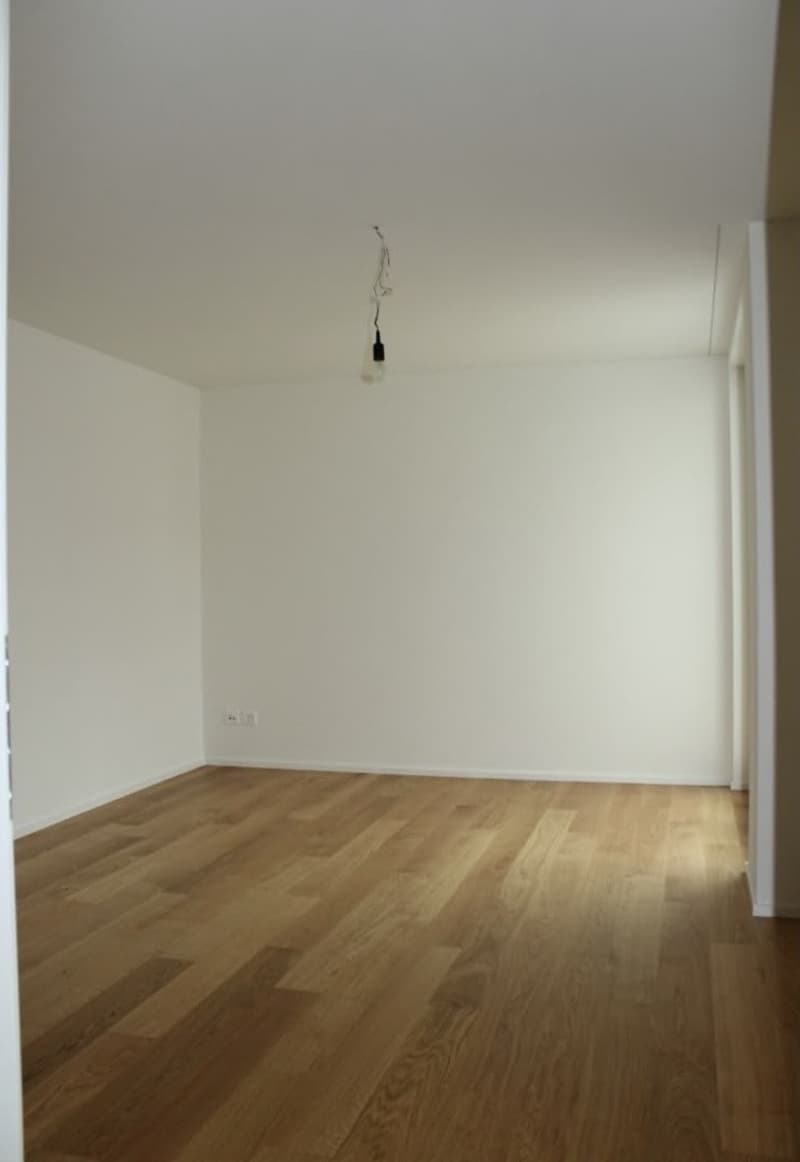 Appartement 3.5 pièces avec terrasse de rêve (5)