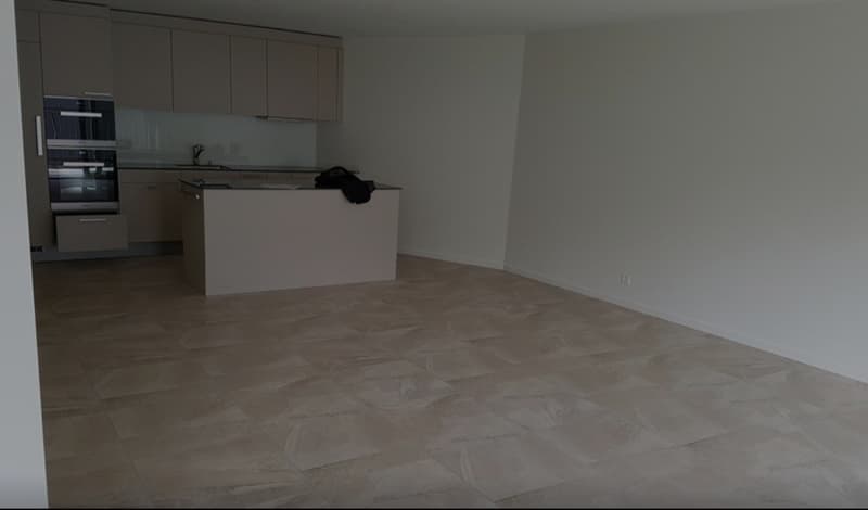 Appartamento luminoso e moderno di 2,5 locali agli standard di proprietario occupante (1)