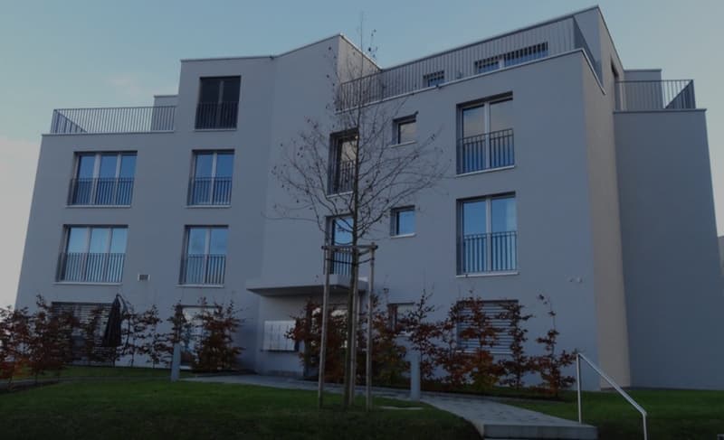 Appartamento luminoso e moderno di 2,5 locali agli standard di proprietario occupante (2)