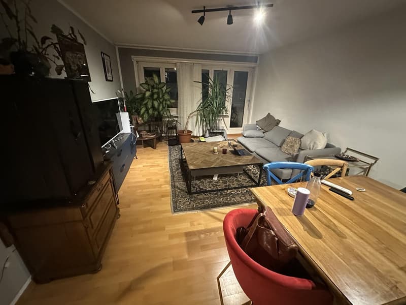 3.5-room apartment with balcony on Rosengartenstrasse in Zurich with shared garden courtyard (1)