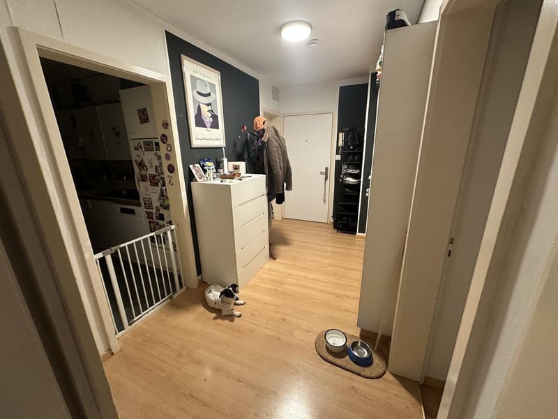 3.5-room apartment with balcony on Rosengartenstrasse in Zurich with shared garden courtyard (4)