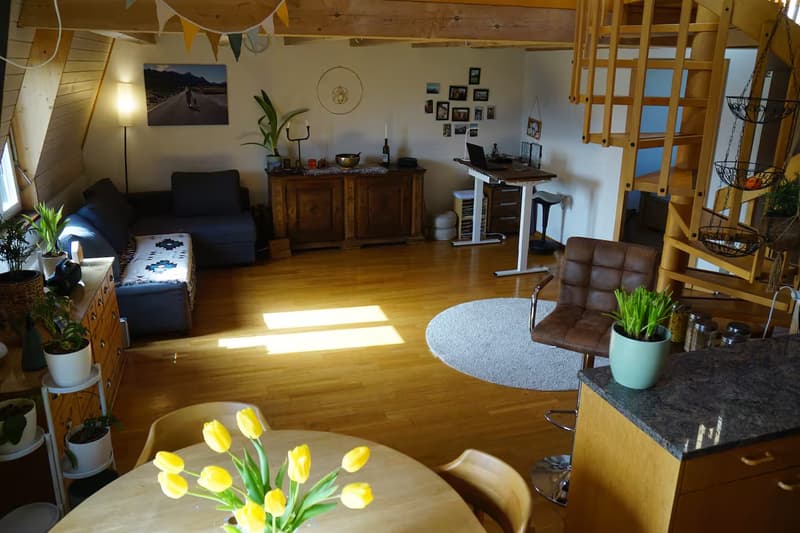 Wunderschöne Galeriewohnung (befristet) (3)