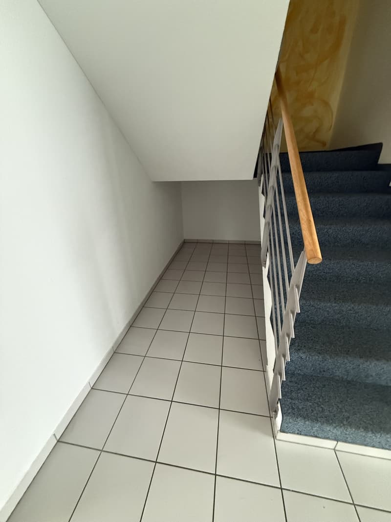 Locataire pour appartement maisonnette 5.5 pièces à Fahrwangen (1)