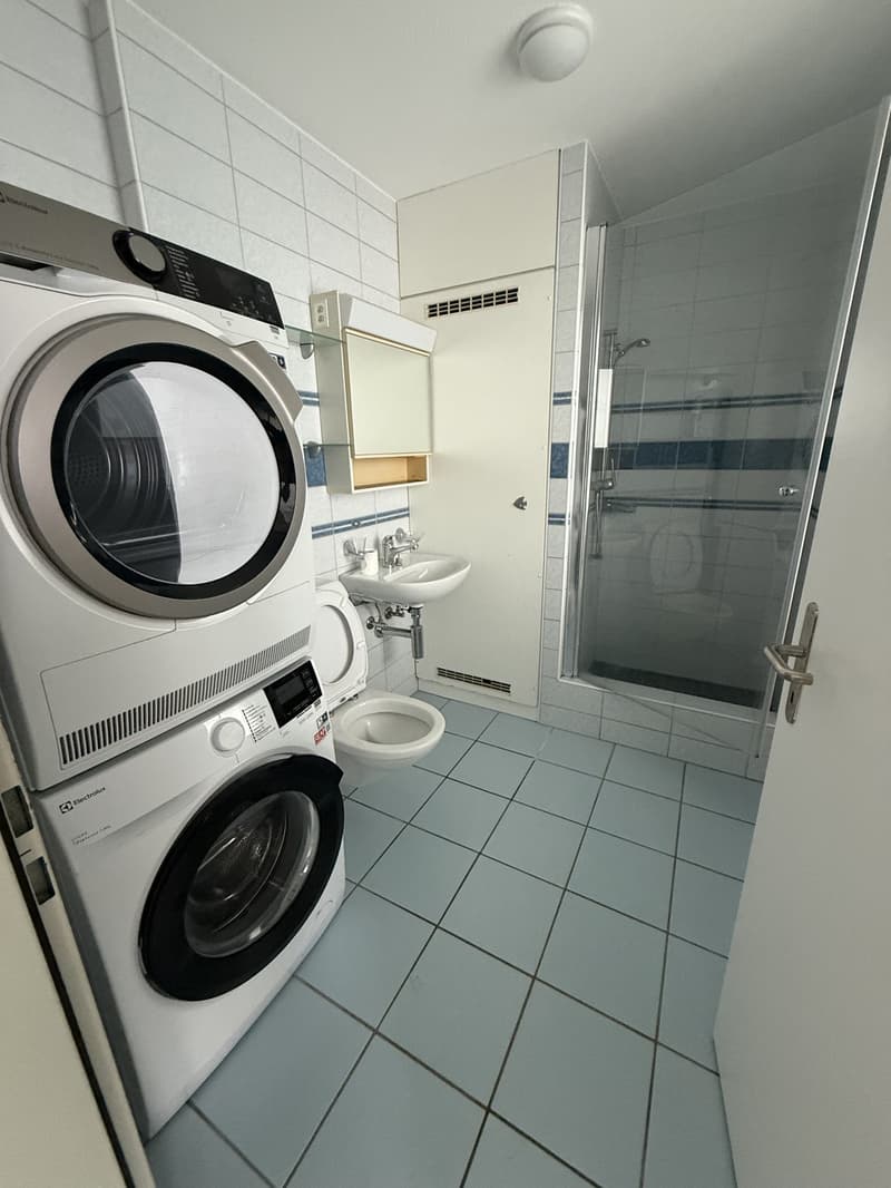 Locataire pour appartement maisonnette 5.5 pièces à Fahrwangen (11)