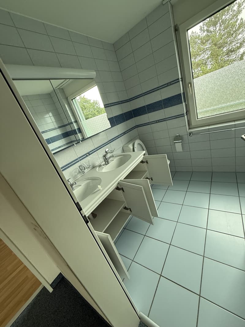 Locataire pour appartement maisonnette 5.5 pièces à Fahrwangen (13)