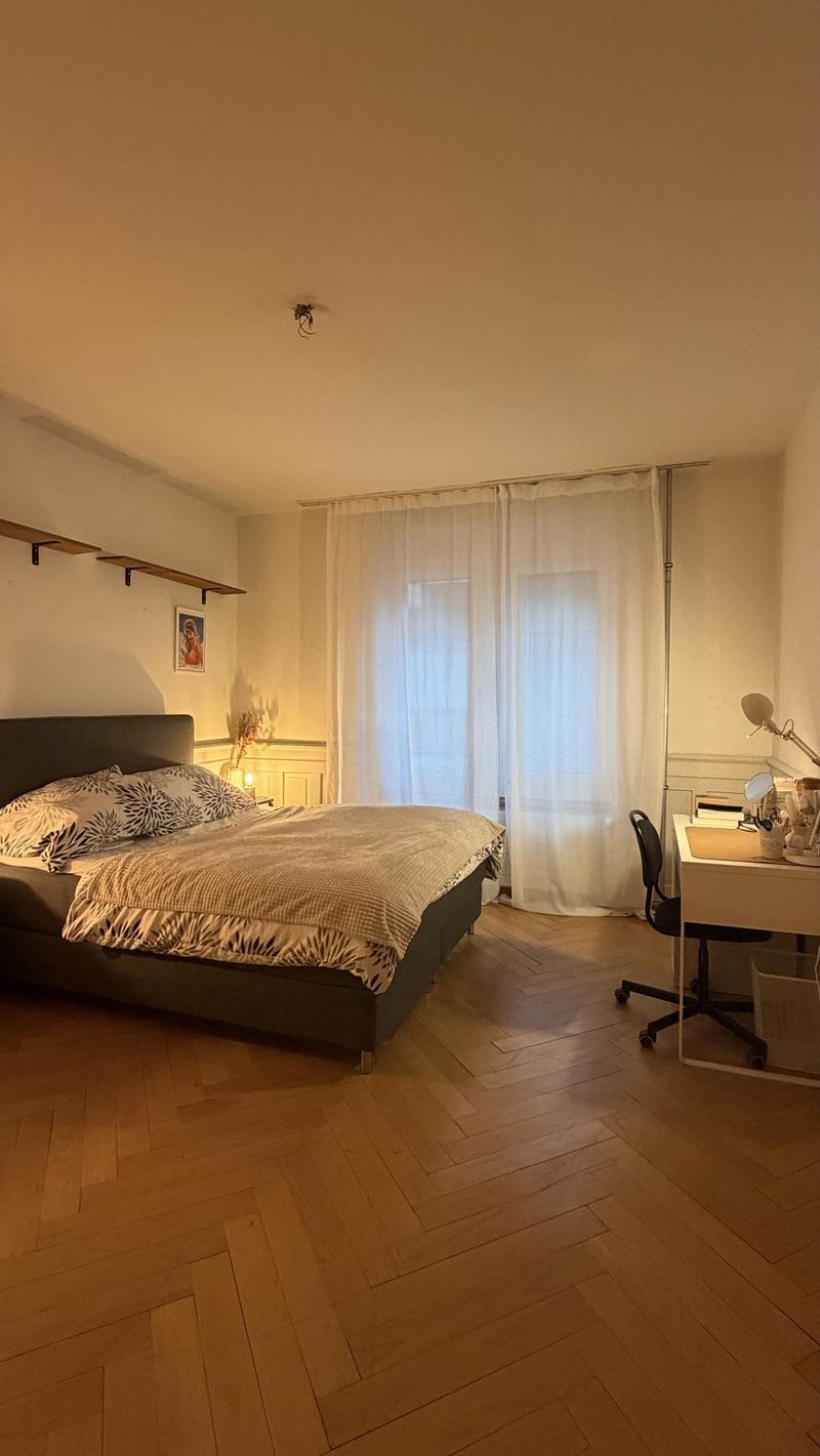 Fully furnished 4-room apartment in Zürich-Wiedikon for sublet (Sept. 2026 - Jan. 2027) (4)