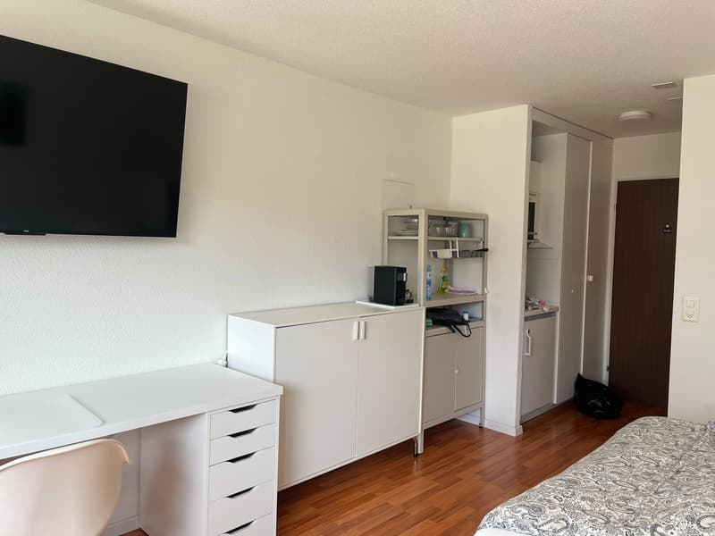 Intero alloggio: Appartamento a Zurigo, Svizzera 2 ospiti 1 camera da letto 1 letto 1 bagno (1)