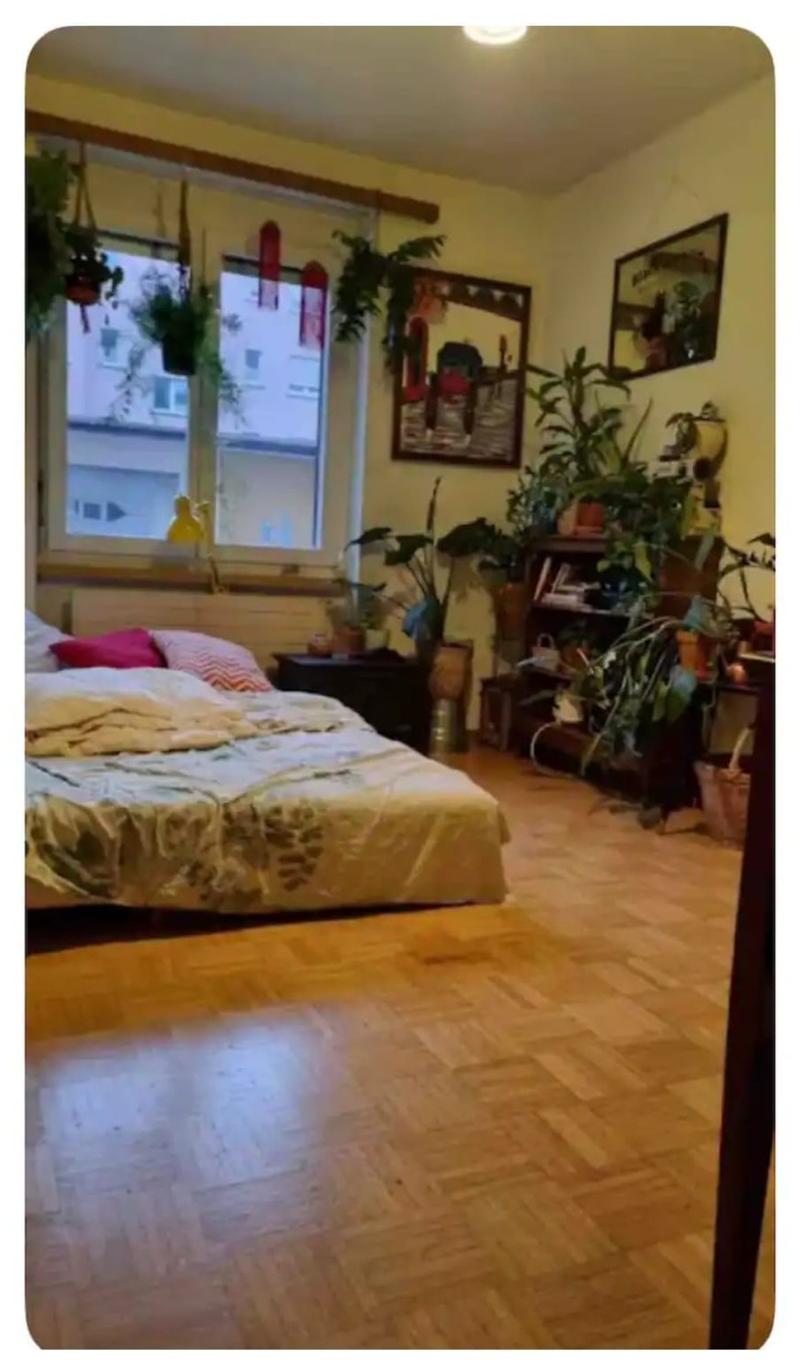 Spacious 3.5-Room Apartment in Zurich (Weststrasse) Long-Term Rental Only (4)