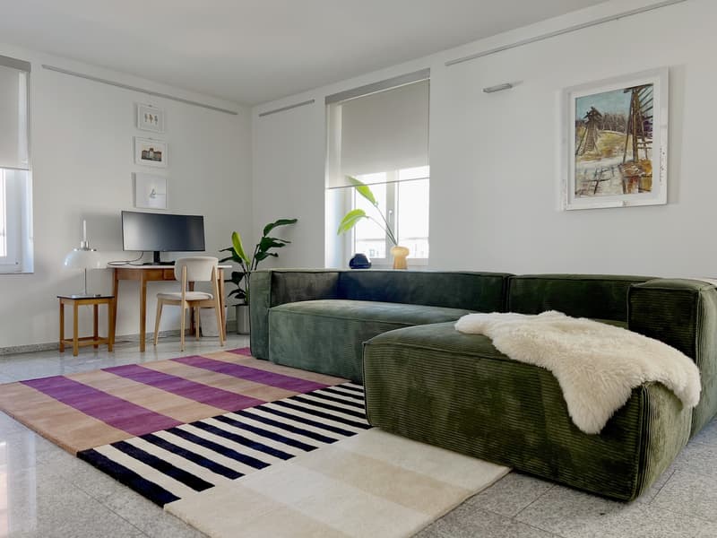 Cercasi inquilino per un appartamento luminoso, spazioso di 2,5 locali su Rotbuchstrasse (1)
