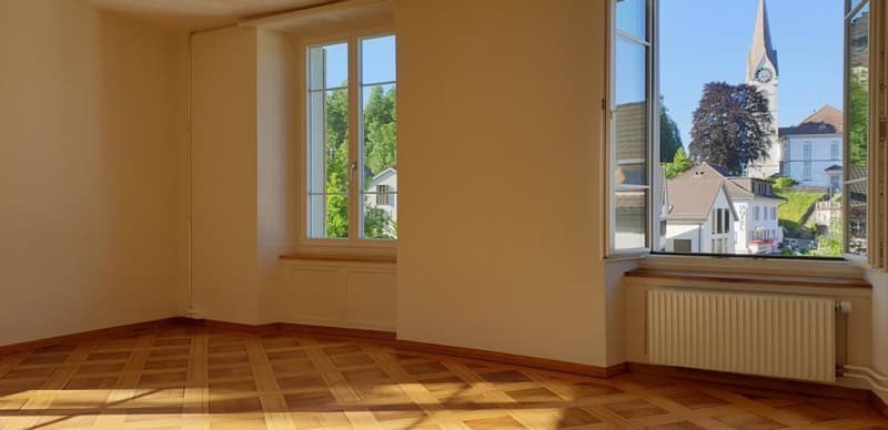 Charming old building apartment in Kirchuster (1)