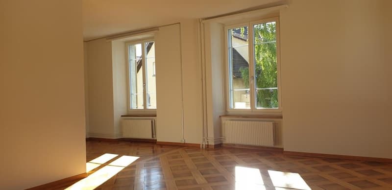 Charming old building apartment in Kirchuster (2)