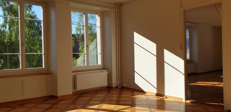 Charming old building apartment in Kirchuster (3)