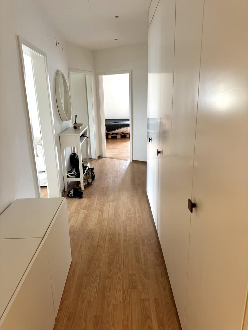 Appartement de 3,5 pièces meublé et lumineux au dernier étage à Hegibachplatz (Seefeld) en sous-location Aug-Jan (12)